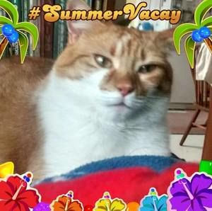 Meet your Posher, Helen